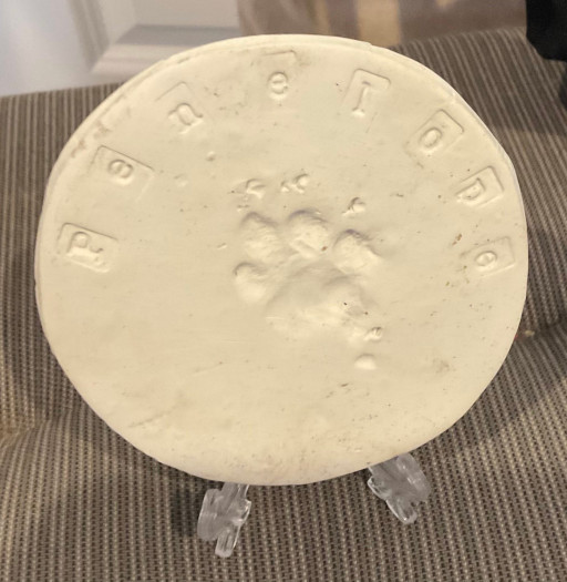 Penny's postmortem paw print