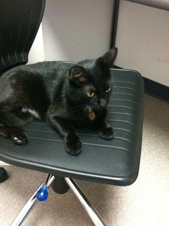 Penny, circa 2010